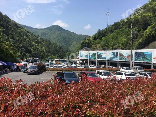 大明山停车场免费时间查询能不能开车上南宁大明山 可以带宠物吗 