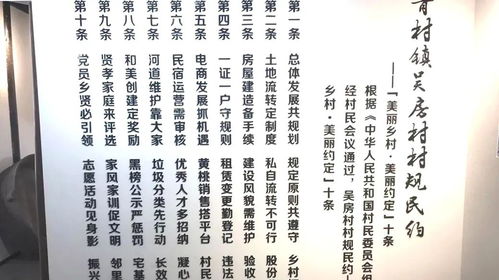 这5个村 社区 被命名为上海市 全国民主法治示范村 社区 重点培育单位