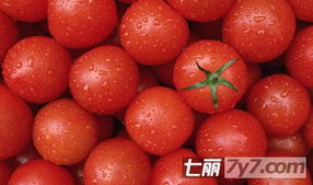 小番茄快速减肥法 周甩十斤赘肉打造曼妙身材 