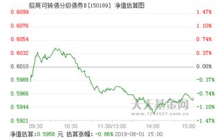 招商可转债分级债券b是什么基金