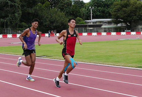 四川田径队训练视频大全,中国田径队训练方法