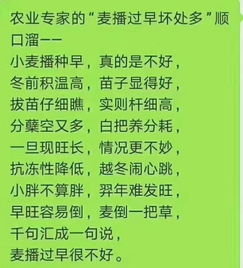 一个顺口溜很全面的解释了小麦播种过早出现的问题 