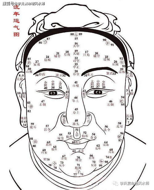 男人此处高挺,说明一生事业旺盛,财源滚滚而来