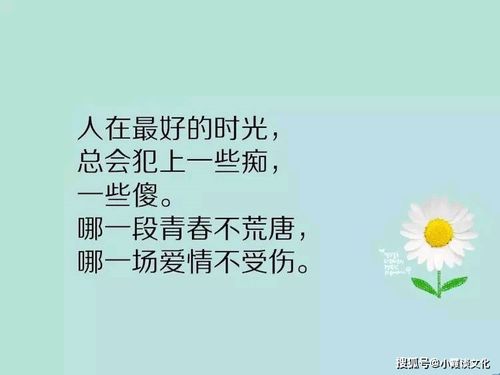 朋友圈阳光温暖的说说,句句经典,相信明天会更好 