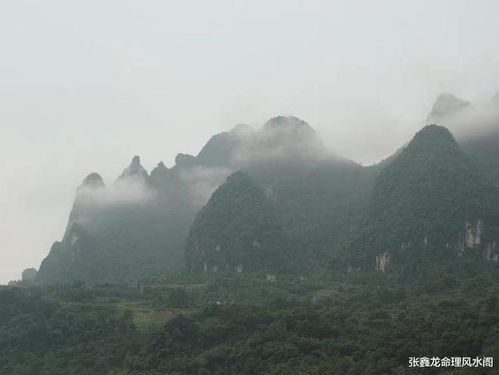 癸卯年乙卯月每日生肖运势3月7日