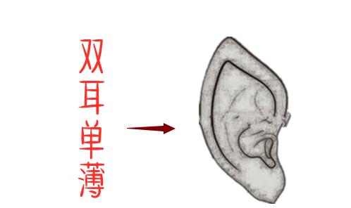 俗语说 耳薄如纸,苦得要命 两耳贴脑,不做活也发财