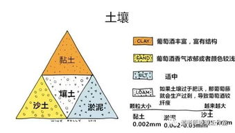 土壤的湿密度干密度的含义是什么,为什么要测定干密度和湿密度-第4张图片