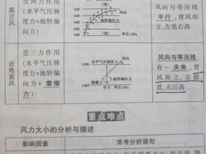 请问近地面风背风而立，左前低右后高是什么意思？