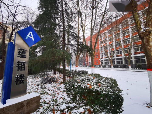 郑州工程技术学院学校地址