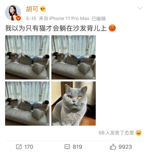 胡可晒儿子偷吃猫粮 养男孩的最高境界,是做到这3点