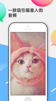 猫语翻译器人猫交流器下载 猫语翻译器苹果版v1.1.1 iphone版 腾牛苹果网 