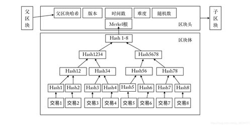 实现比特币区块结构