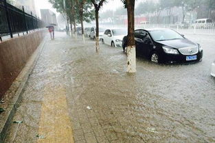 海绵城市 环保生态透水地坪,开启地面呼吸能力 