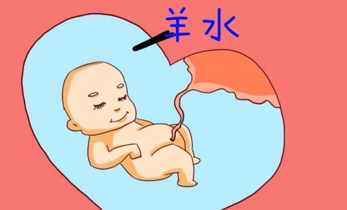 原创胎动若出现这4个变化，可能是小宝宝在“求救”，准妈要学会分辨