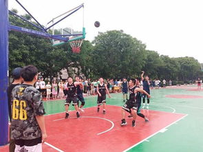 生命学院热情参与 第九届阳光体育节大学生篮球联赛 