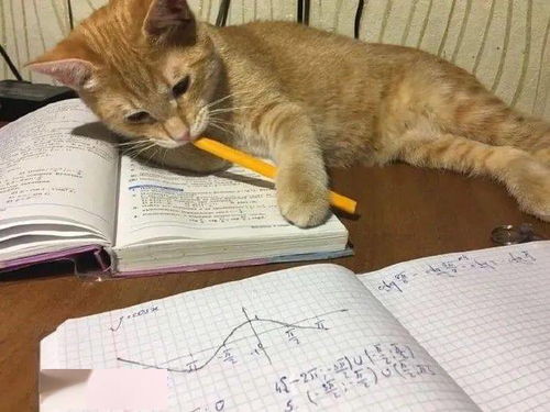 孩子暑假作业做不完,多半是有什么猫腻