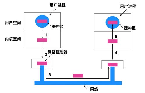 痒痒肉的原理(痒痒肉有什么作用)