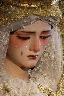 圣母的眼泪 