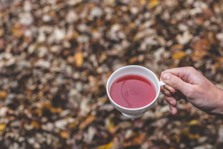 茶韵茶叶是红茶吗（茶韵包括）