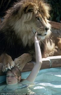 美国女明星养狮子当宠物 泳池戏水画面很有爱 