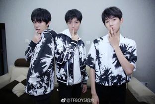 TFBOYS成员简介,这些你都了解吗 