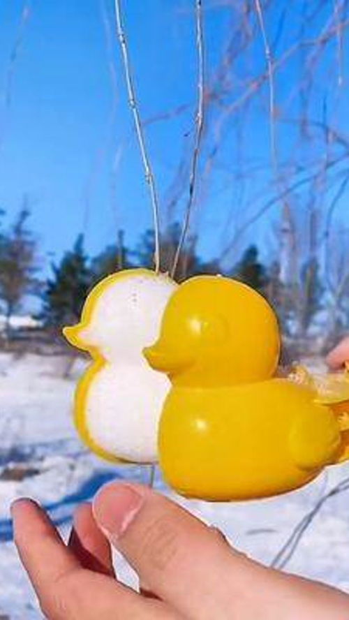 下雪天用这个 雪球夹 玩雪球才浪漫,雪球都给你玩出情调来 玩雪神器 