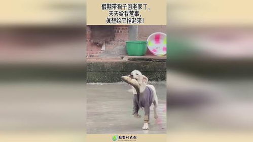 我不是真的想惹事呀