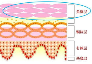 怎样淡化红血丝？怎样淡化红血丝 淡化红血丝的六种方法