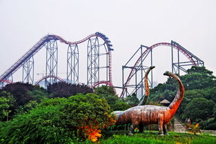 恐龙园夜公园门票,恐龙园夜公园门票：让您体验前所未有的恐龙世界之旅