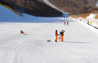 园博园滑雪场停车场免费吗,济南园博园滑雪场可以钓鱼吗?