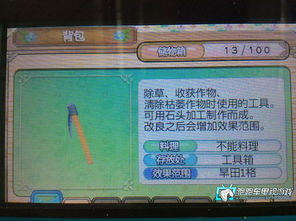 3DS牧场物语起源的大地中文版下载 牧场物语起源的大地 汉化版下载 跑跑车主机频道 