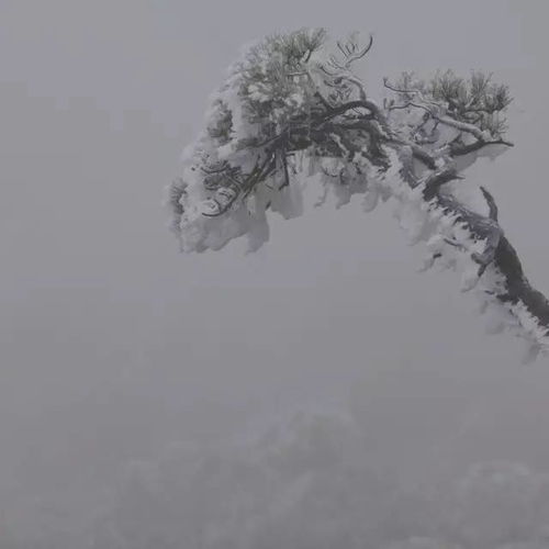 摄影家恒父 实以形见,虚处藏神 风光摄影之东方现代性