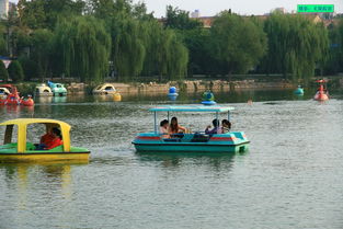 公园游船,公园游船，享受湖畔美景