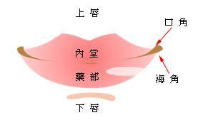 面相学 这个地方能看出儿女将来是否孝顺 