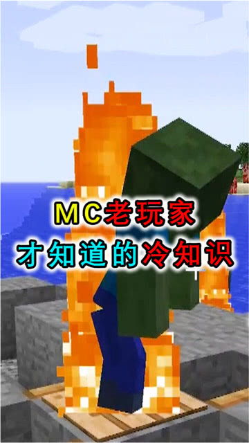 MC老玩家才知道的冷知识,教你制作怪物无法逃出去的陷阱 