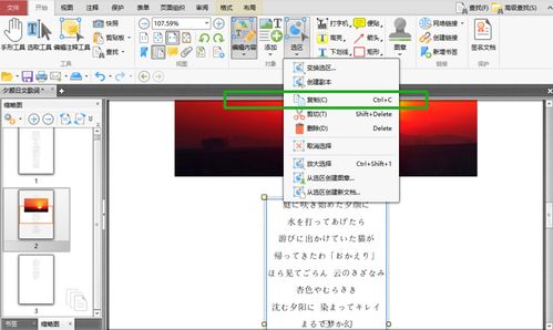 福昕阅读器怎么复制pdf里的文字