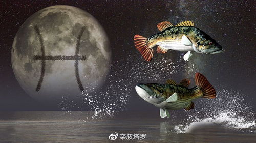 12星座运势周报 4 20 4 26 魔蝎座网恋机会大