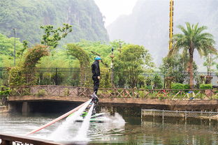 探访上海青青旅游世界：一处让你沉醉的自然之旅