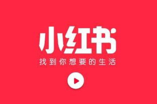 从小红书博主的感受,看小红书如何运营多元化的社区