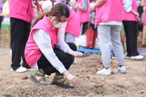 北京工商大学打造 育英园地 劳动教育实践基地