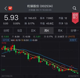 股票里白鸽亮翅是什么？