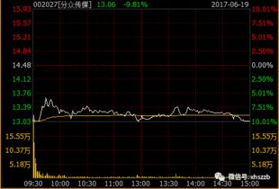 我想请问一下分时传媒是一家什么样性质的公司企业