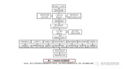 ftm的医学定义,性别中ftm是什么意思