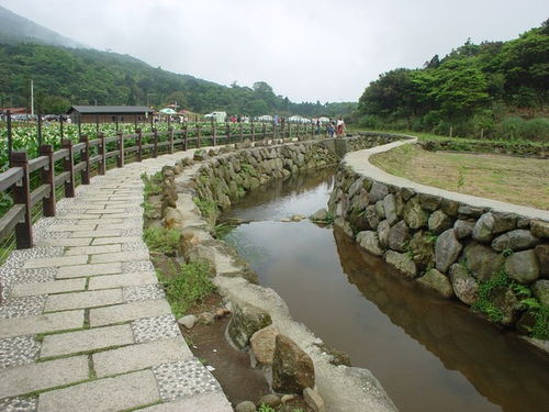 台湾台北竹子湖