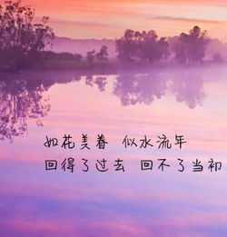 一花一世界,一叶一追寻 一曲一场叹,一生为一人 