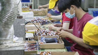 越南代工的香烟口感如何，越南代工香烟货源批发厂家