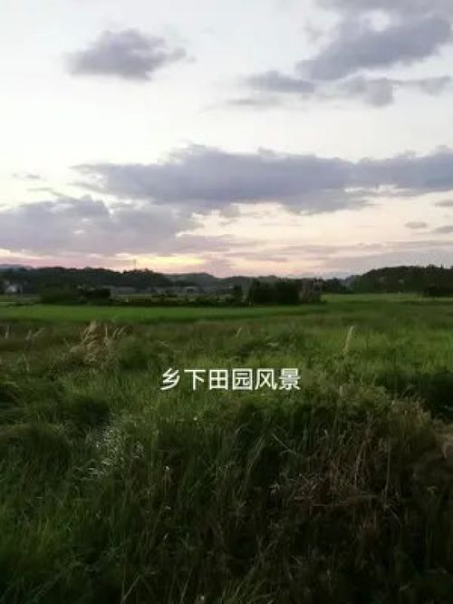 乡村励志昵称-带乡村气息的网名？