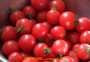 小西红柿的功效与作用,吃小西红柿的好处有哪些