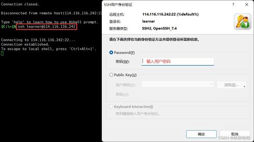 云服务器linux,选择、搭建与维护指南