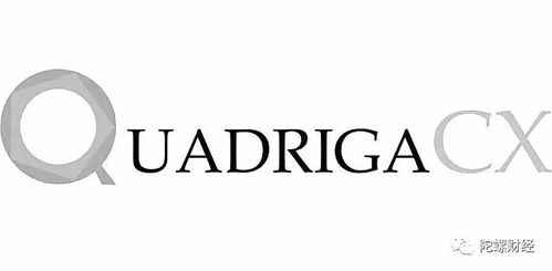 加拿大交易所QuadrigaCX疑案——BB财经